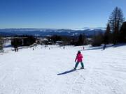 Gemakkelijke piste bij de Zirbenlift 2
