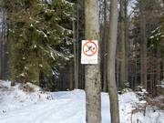 Skiën door het bos is verboden