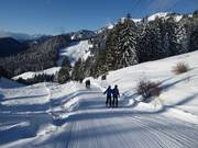 Florihanglift 1 - Sleeplift met T-beugel/Ankerlift