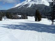 Beginnerspistes bij de Green Chair