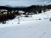 Owl Learning Area in het dalgebied