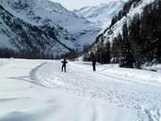 Hoogteloipe in Sulden