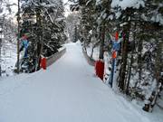 Dalafdaling naar Adelboden-Oey