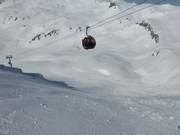 Fallbichlafdaling (zwart)