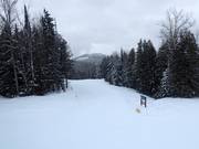 Piste Aladar's Alley