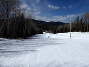 Gemakkelijke oefenpiste Tom