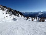 Middelzware piste Doss dei Cembri