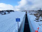 Pony Ride Carpet - Transportband