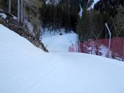 Gemakkelijke bosafdaling