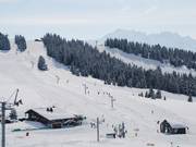 Coqs - Pannenkoeklift