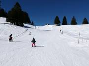 Makkelijke pistes bij de sleeplift Madils