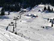 Pistes bij de Bierenwangbahn