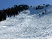 Buckelpiste bij de Hohe Salve