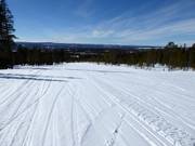 Zeer eenvoudige piste Dalen