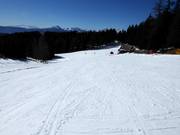 Bosafdaling vanaf Piffing