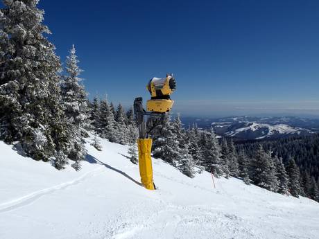 Sneeuwzekerheid Dinarische Alpen – Sneeuwzekerheid Kopaonik