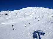 Pistes in Tonale