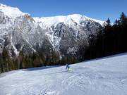 Wereldkampioenschapspiste Patrick Staudacher
