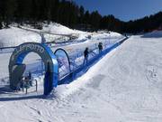 Leprotto - Transportband/Moving Carpet