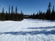 Gemakkelijke piste nr. 9