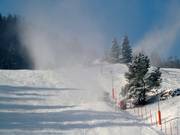 Besneeuwde dalafdaling