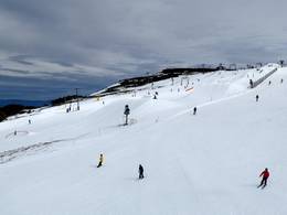 Mt. Buller