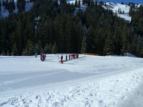 Skigebieden voor beginners in het Bregenzer Woudgebergte – Beginners Damüls Mellau