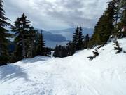 Shore Glades met uitzicht op de Stille Oceaan