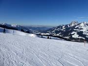 Makkelijke damesafdaling met uitzicht op de Wendelstein