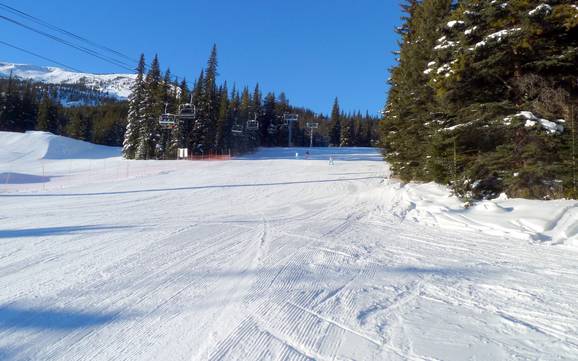 Pisteaanbod Nationaal Park Jasper – Pisteaanbod Marmot Basin – Jasper
