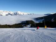 FIS-standaardafdaling