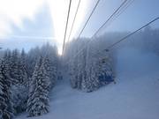 Middelzware dalafdaling