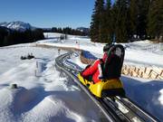 Tip voor de kleintjes  - Timoks Alpine Coaster (Fieberbrunn)