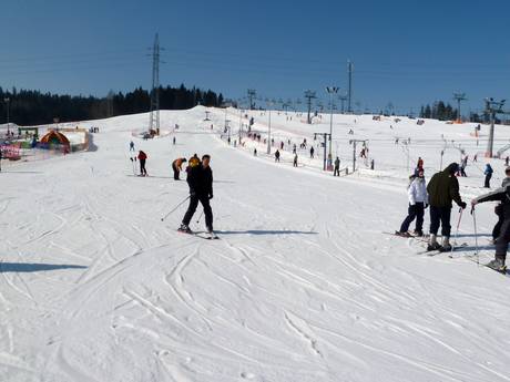 Skigebieden voor beginners in de woiwodschap Klein-Polen – Beginners Białka Tatrzańska – Kotelnica/Kaniówka/Bania
