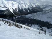 Double Diamond Lone Star