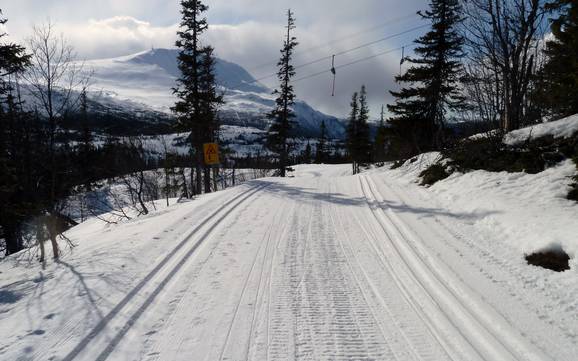 Langlaufen Telemark – Langlaufen Gaustablikk – Rjukan