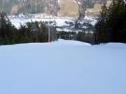 FIS-standaardafdaling-Kohlerhang