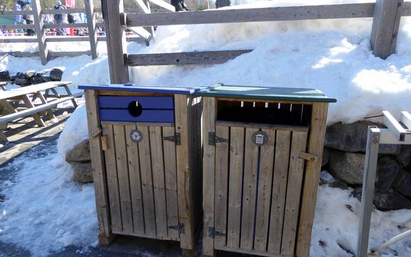 centrale en zuidelijke Appalachen: milieuvriendelijkheid van de skigebieden – Milieuvriendelijkheid Bromont