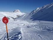 Kogel-Mogel Wellenbaan