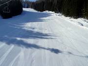 Vers vers geprepareerde Maibrunnafdaling