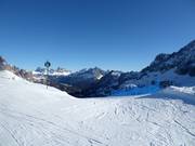 Moeilijke piste nr. 62 Vitelli