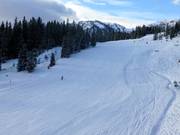 Gemakkelijke piste bij de Family Shuttle