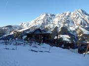 Steenarend bij het middenstation Leogang