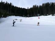 Beginnersweide Holzstube