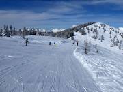 Makkelijke Weitmoosafdaling op de Planai