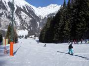 Gemakkelijke piste bij de Köfelelift I