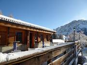 Les Marmottes des Alpes (Gryon)