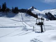 Holibrig - Sleeplift met T-beugel/Ankerlift