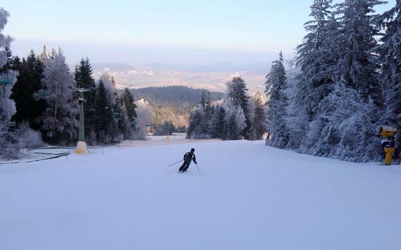 Pisteaanbod Cham – Pisteaanbod Hohenbogen – Neukirchen bei Hl. Blut