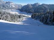 Dalafdaling Hornspitz nr. 2e